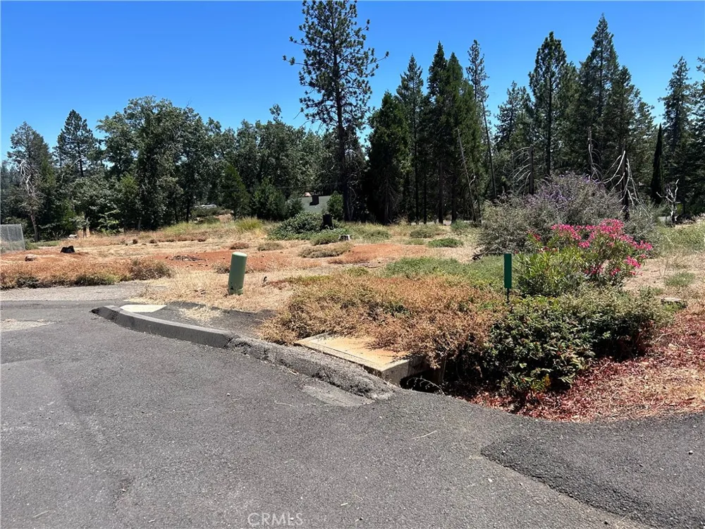 13666 Penn Court Magalia, CA 95954