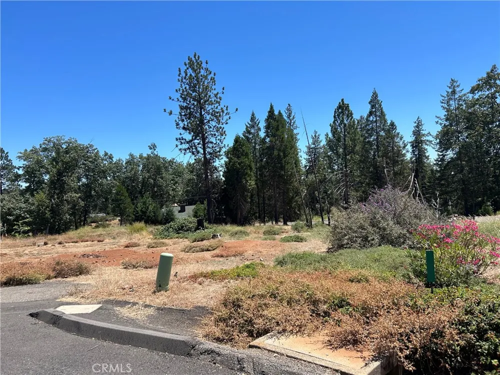 13666 Penn Court Magalia, CA 95954