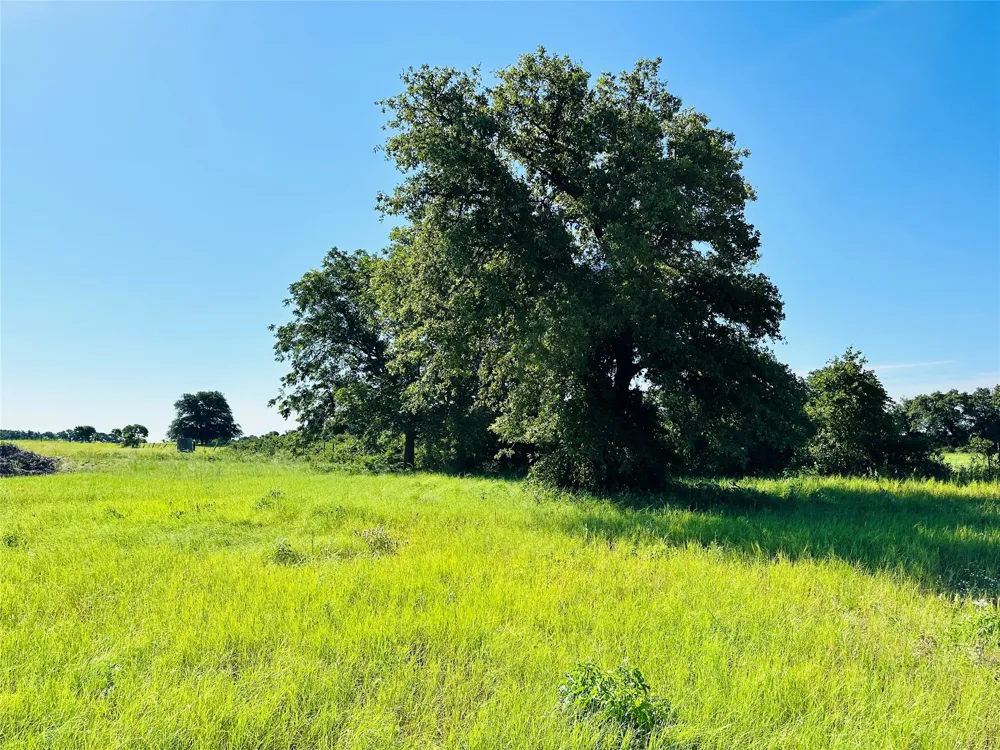 12817 State Highway 36 E Cross Plains, TX 76443