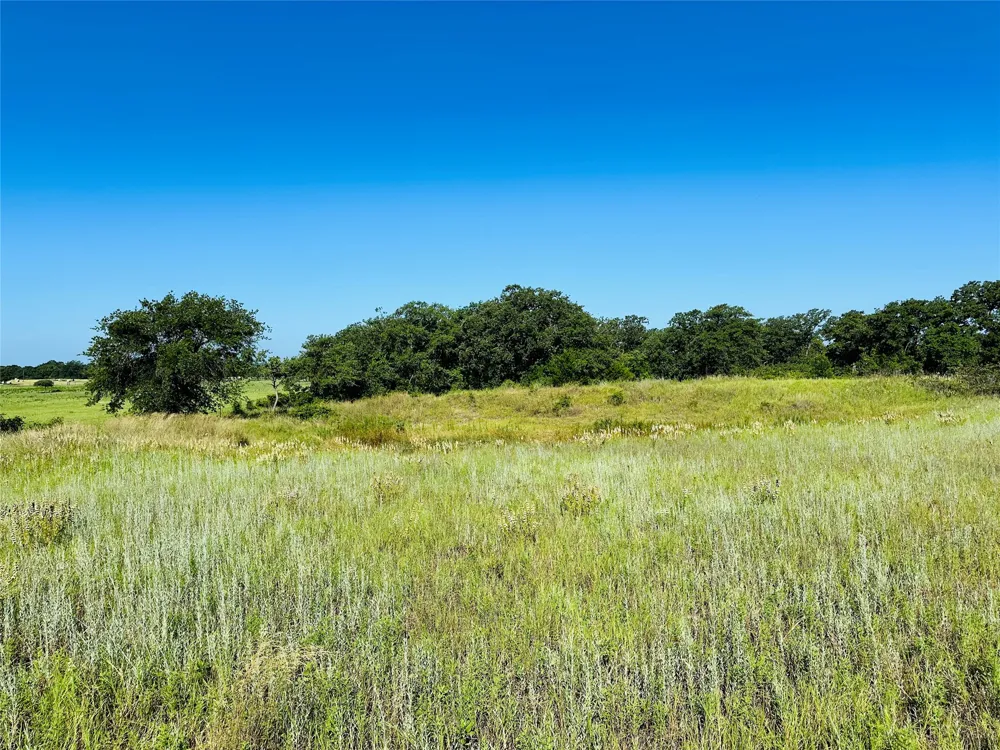 12817 State Highway 36 E Cross Plains, TX 76443