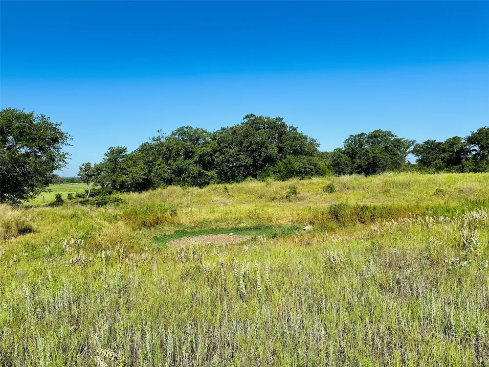 12817 State Highway 36 E Cross Plains, TX 76443