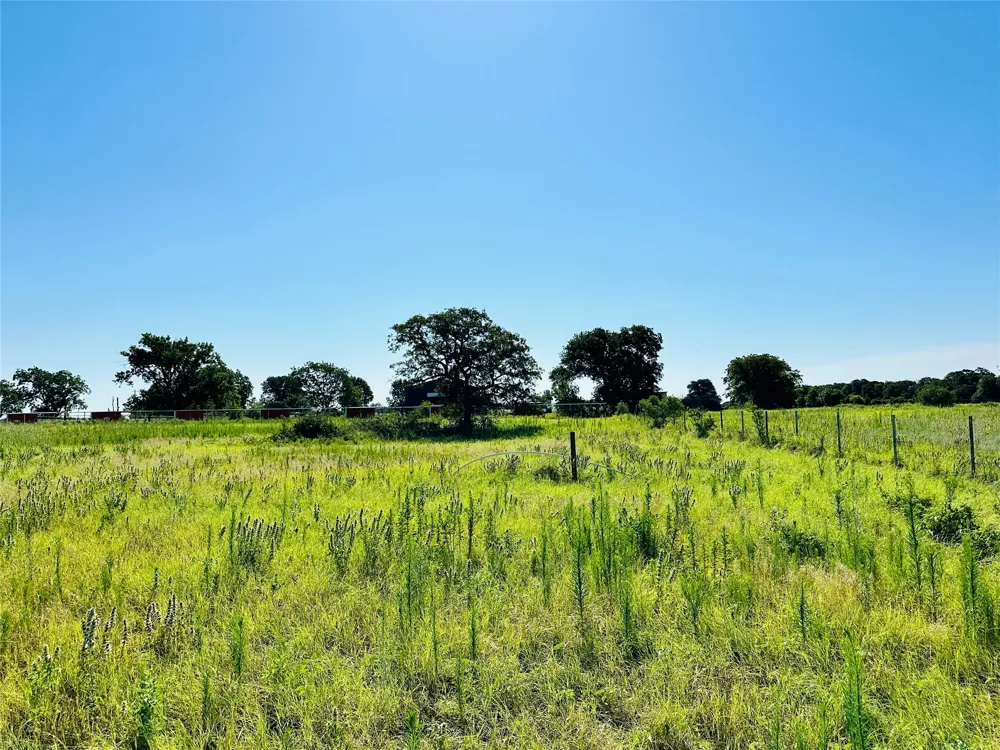 12817 State Highway 36 E Cross Plains, TX 76443