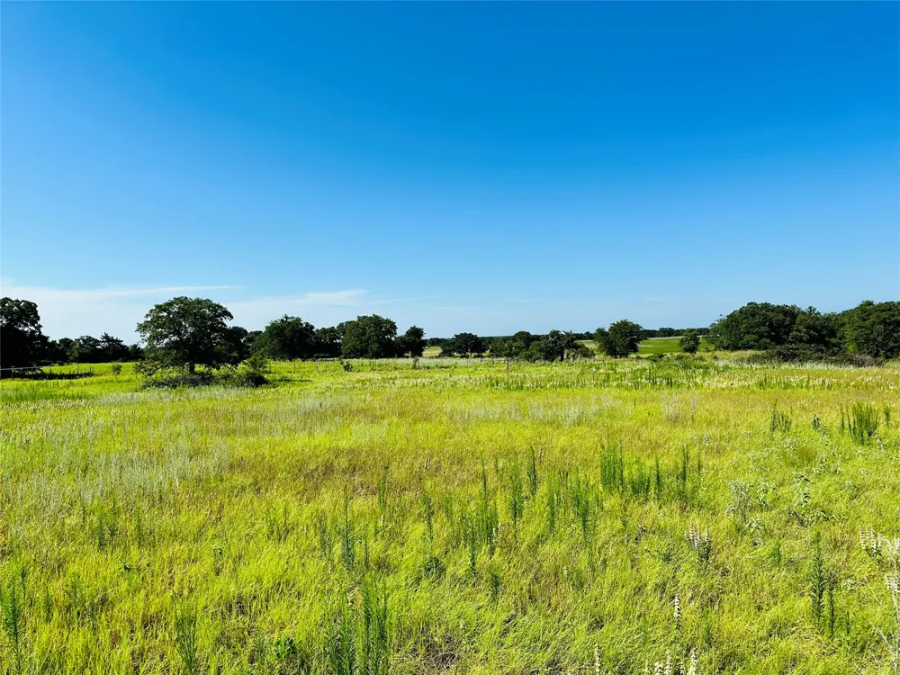 12817 State Highway 36 E Cross Plains, TX 76443