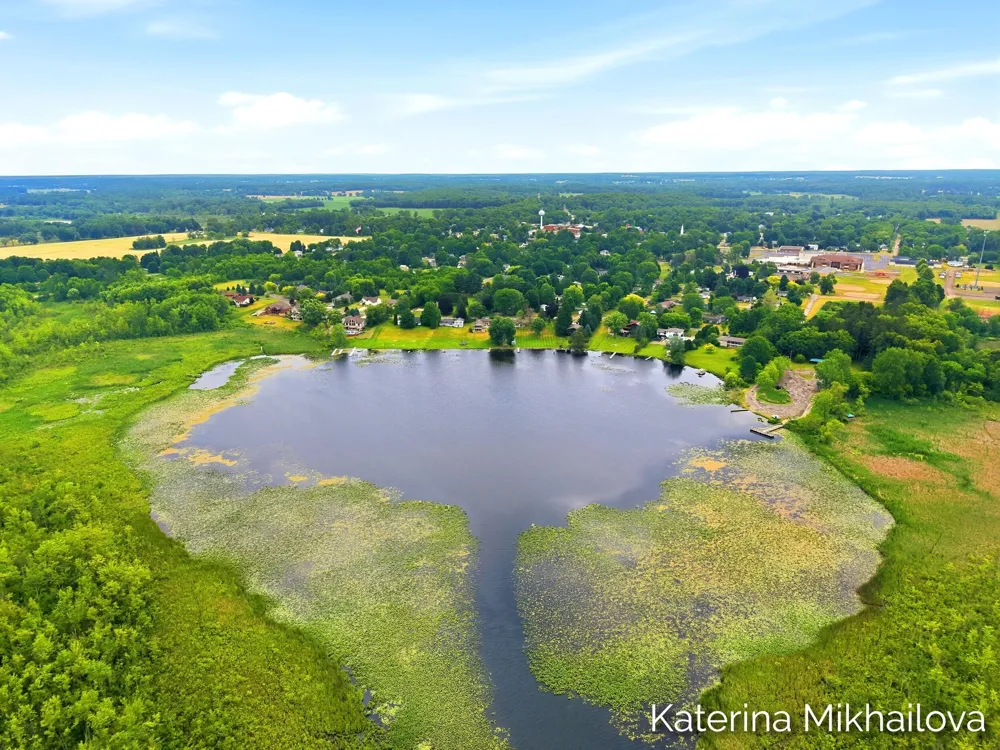 409 Grandview Avenue Homer Village, MI 49245