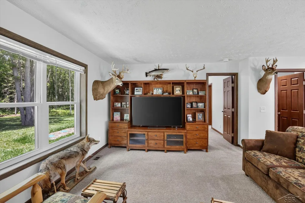 5590 Jefferson Road Mills Township, MI 48642