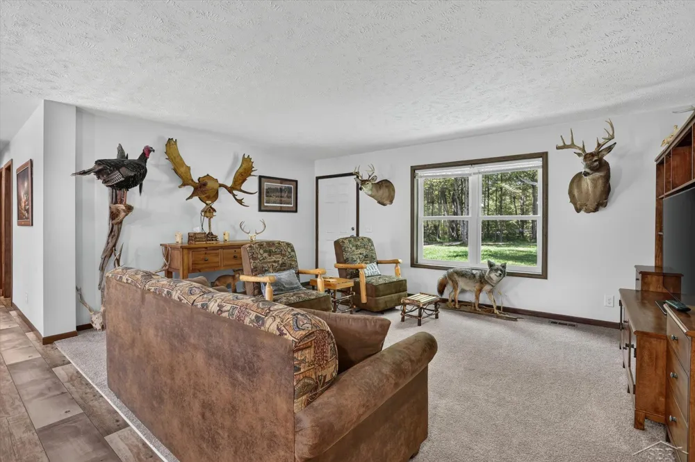 5590 Jefferson Road Mills Township, MI 48642