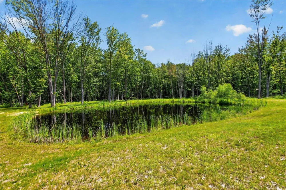 5590 Jefferson Road Mills Township, MI 48642