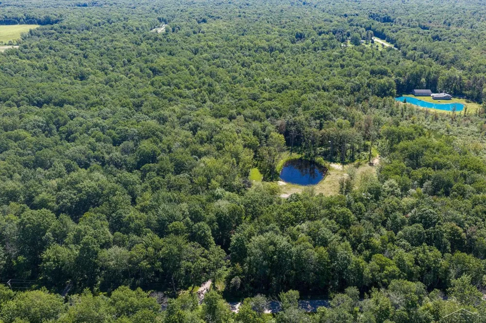5590 Jefferson Road Mills Township, MI 48642