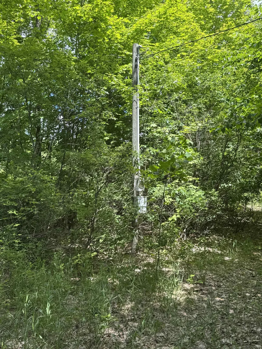 S 35 ROAD Selma Township, MI 49601