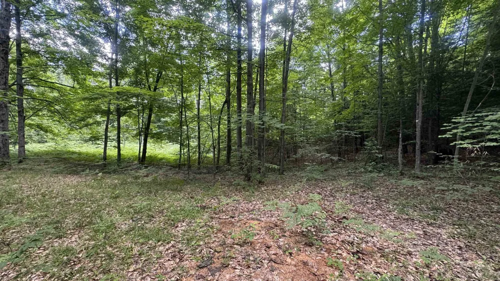 S 35 ROAD Selma Township, MI 49601