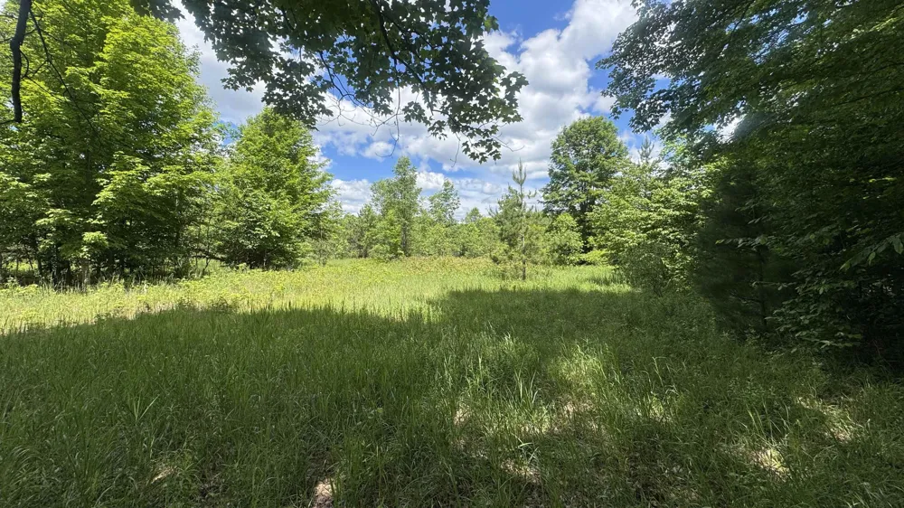 S 35 ROAD Selma Township, MI 49601