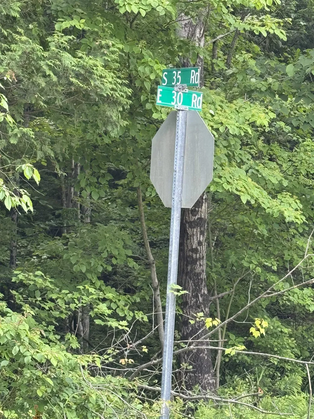 S 35 ROAD Selma Township, MI 49601