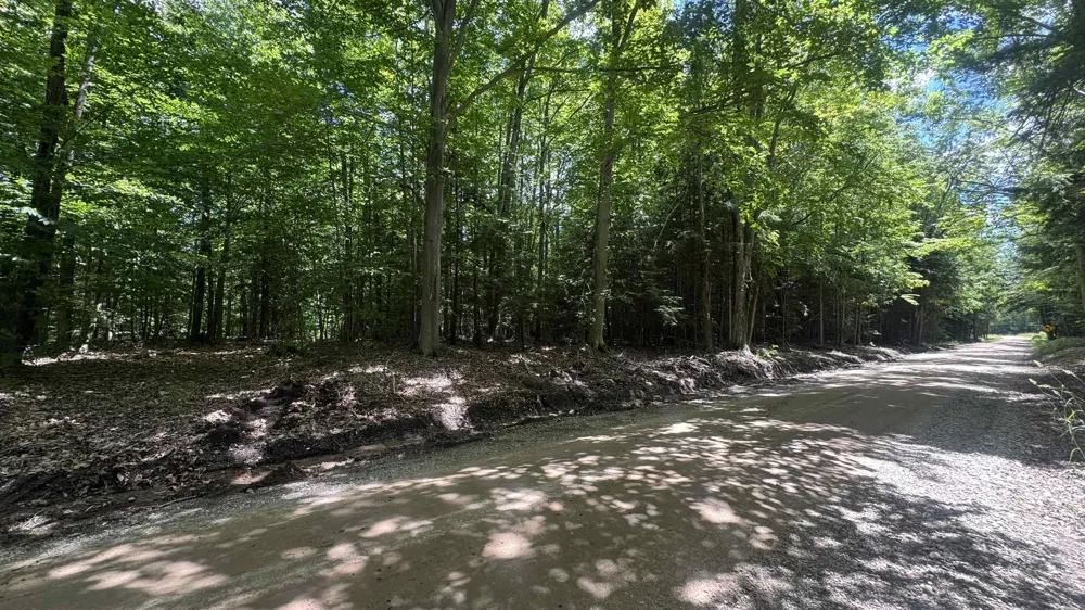 S 35 ROAD Selma Township, MI 49601