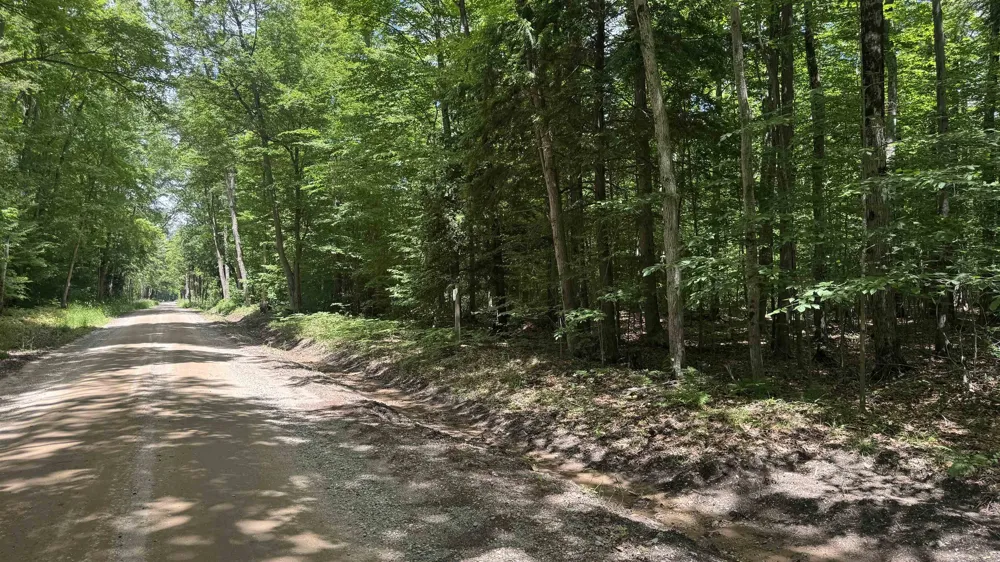 S 35 ROAD Selma Township, MI 49601