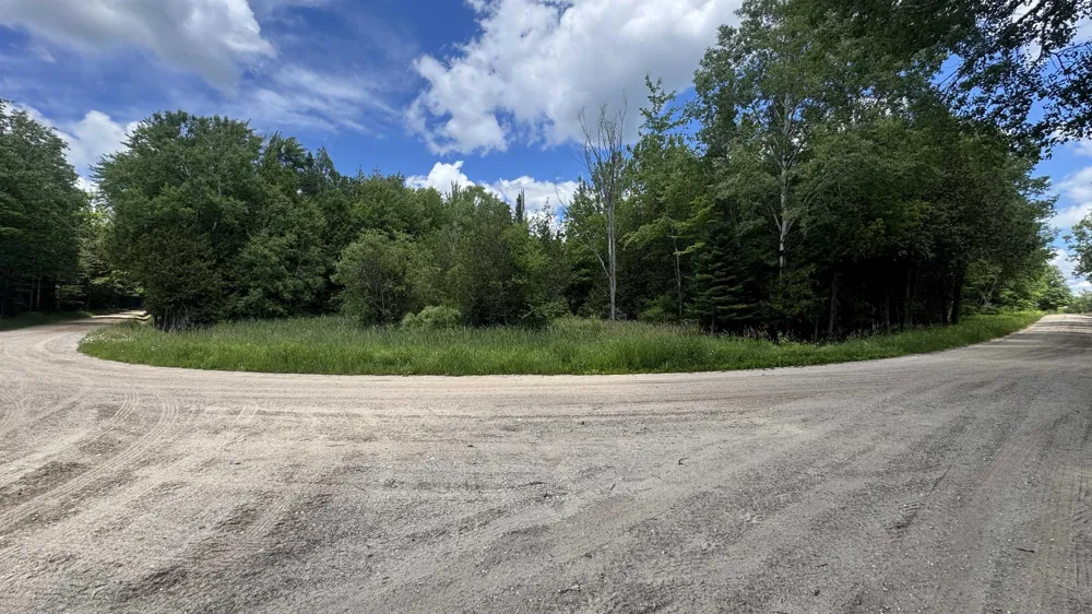 S 35 ROAD Selma Township, MI 49601