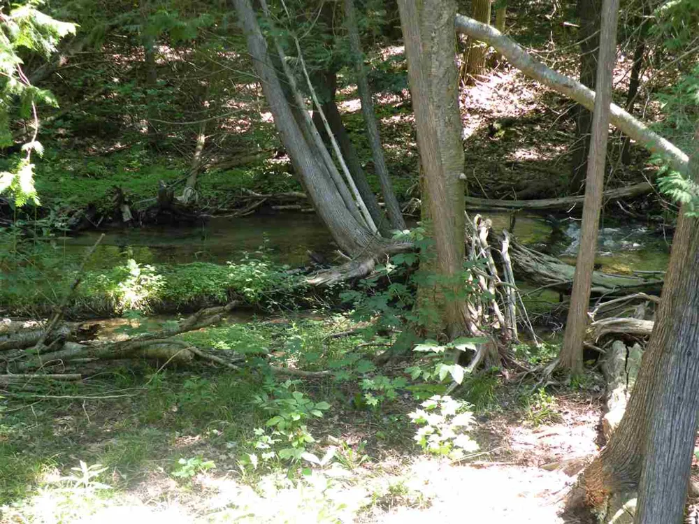 6493 Deer Path Custer Township, MI 49615