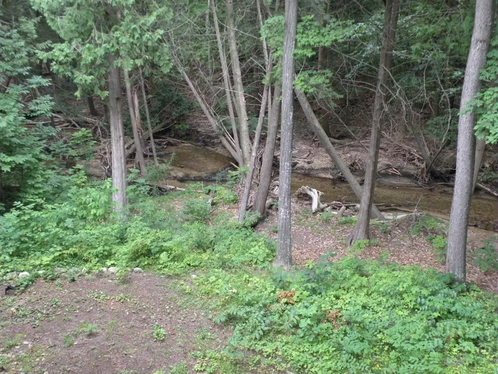 6493 Deer Path Custer Township, MI 49615
