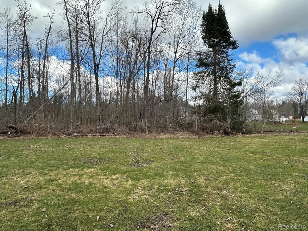 7726 Lake Street Alanson Village, MI 49706