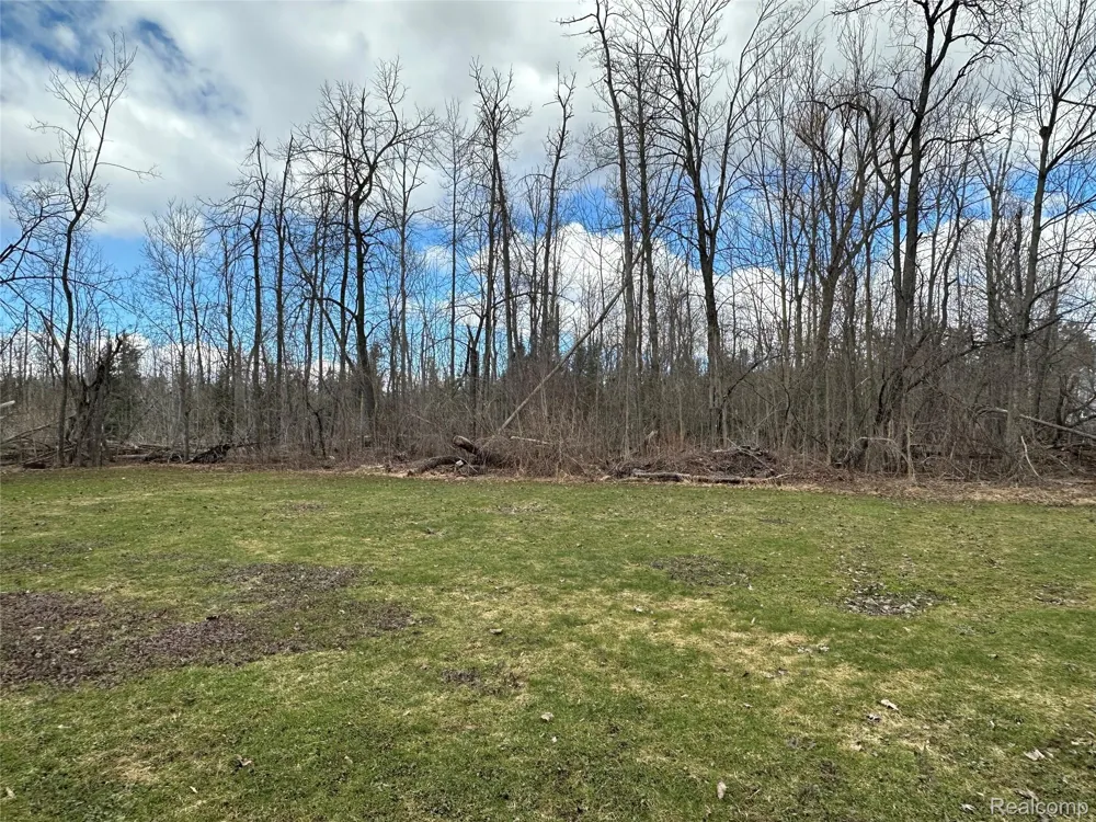 7726 Lake Street Alanson Village, MI 49706