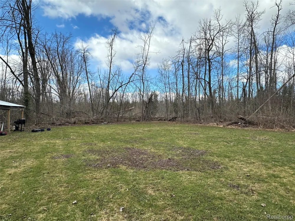 7726 Lake Street Alanson Village, MI 49706
