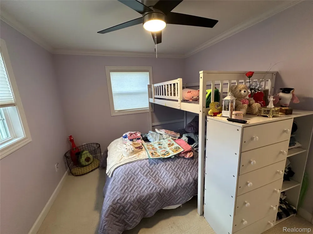 7726 Lake Street Alanson Village, MI 49706