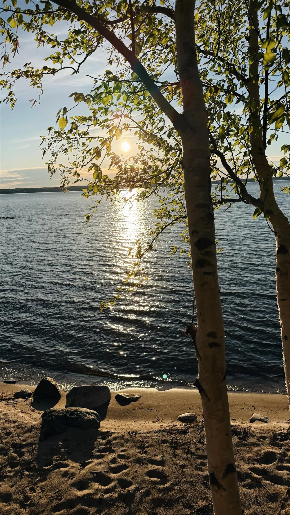 875 Lost Nations Trail Peninsula Township, MI 49686