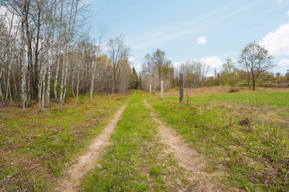 Irvin Road Mayfield Township, MI 49649