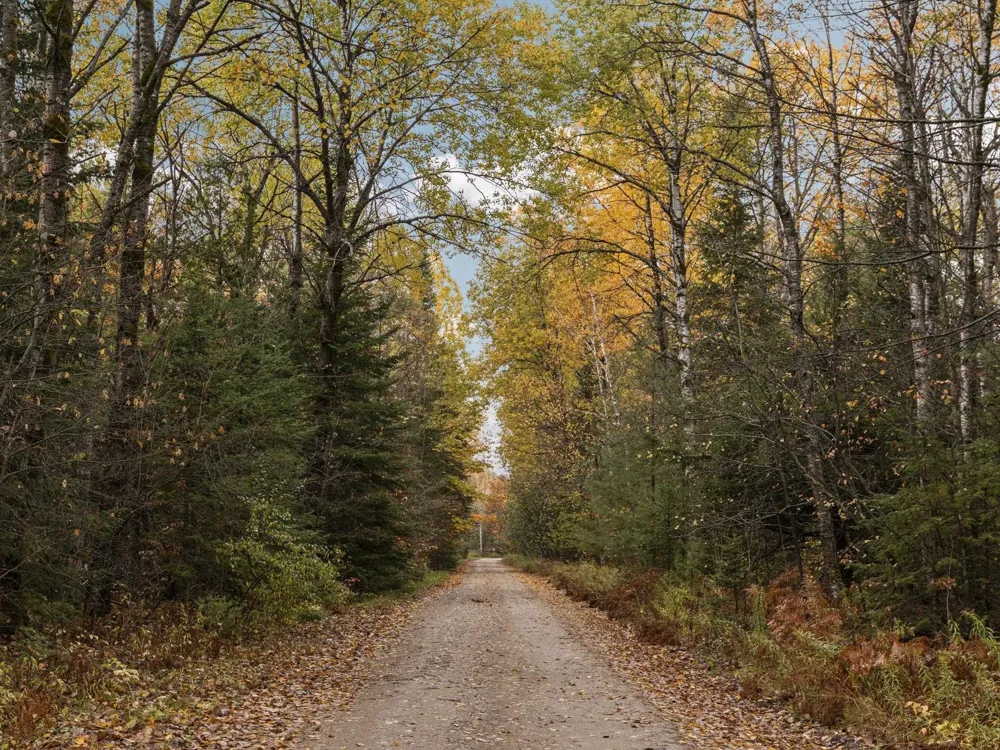 Irvin Road Mayfield Township, MI 49649