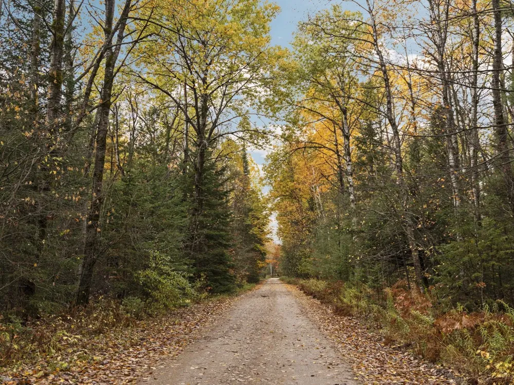 Irvin Road Mayfield Township, MI 49649