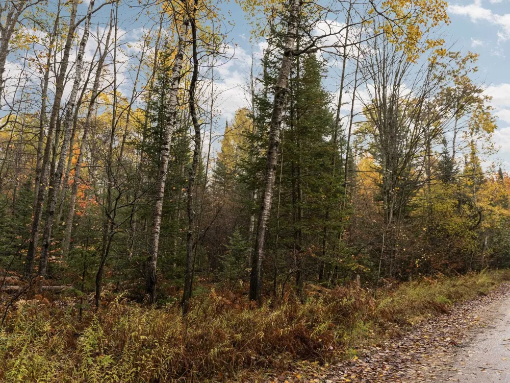 Irvin Road Mayfield Township, MI 49649