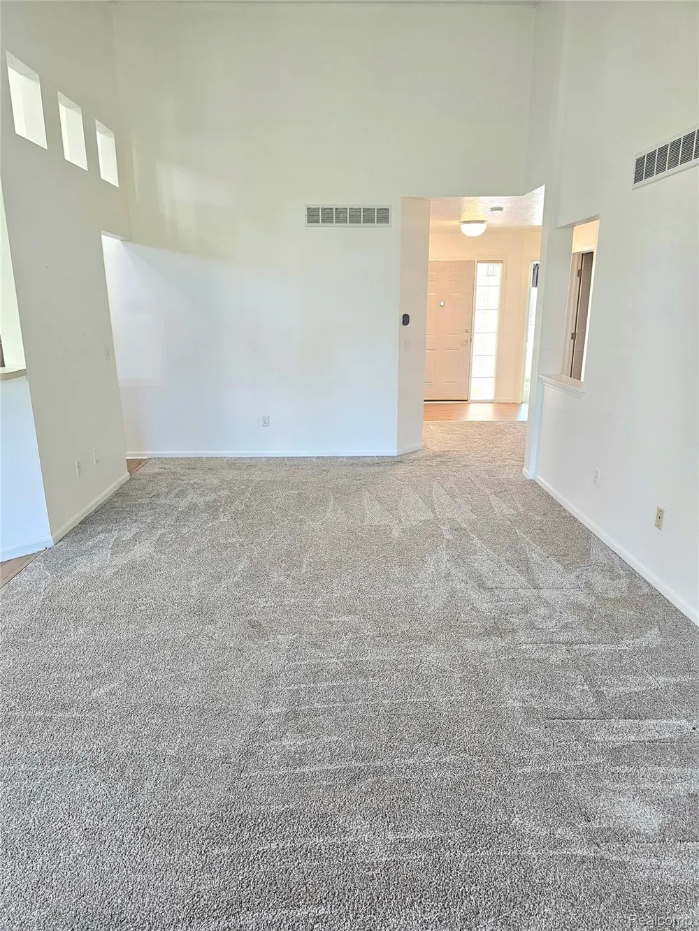 450 Lilly View Court Court Genoa Township, MI 48843