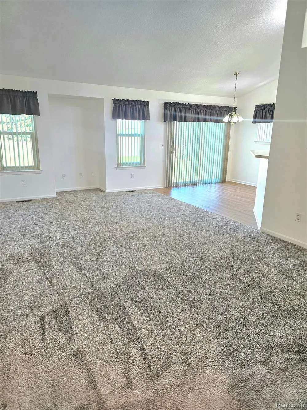 450 Lilly View Court Court Genoa Township, MI 48843