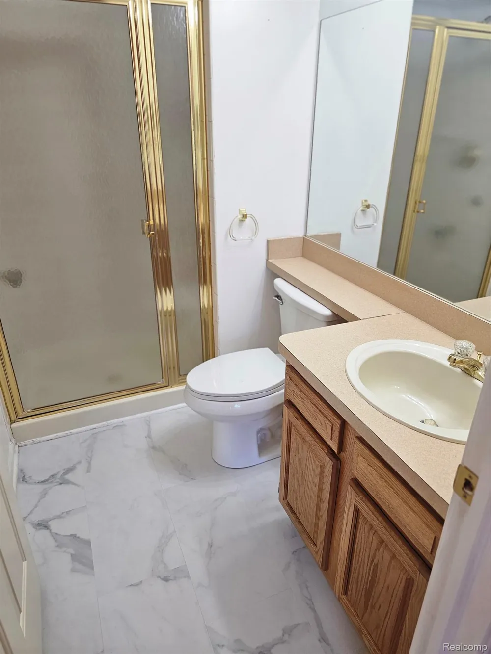 450 Lilly View Court Court Genoa Township, MI 48843
