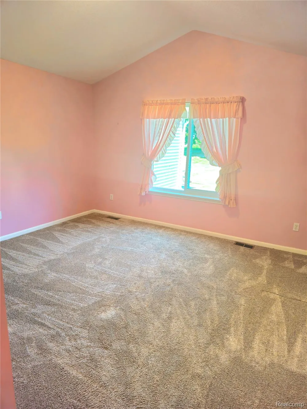 450 Lilly View Court Court Genoa Township, MI 48843