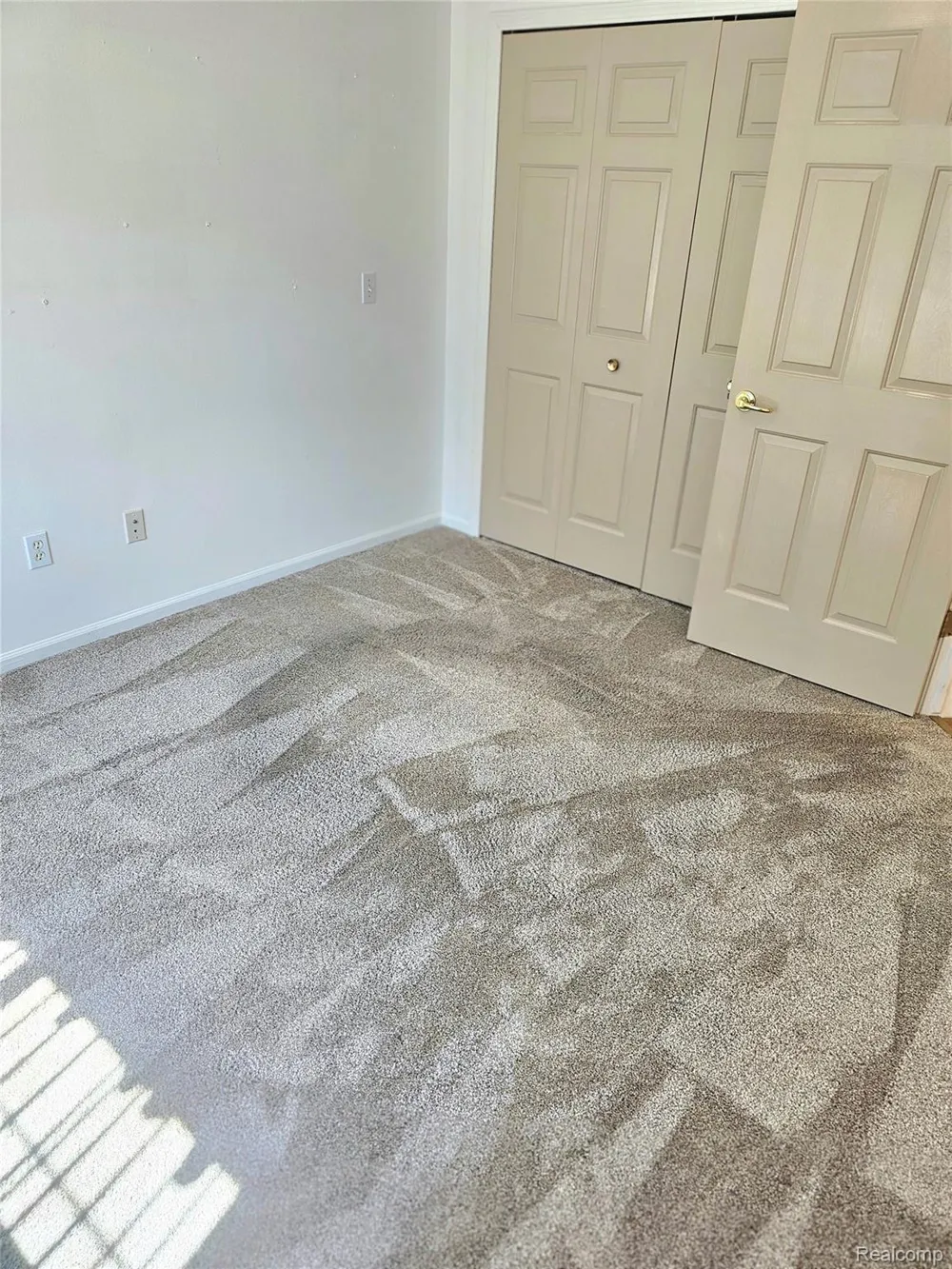 450 Lilly View Court Court Genoa Township, MI 48843