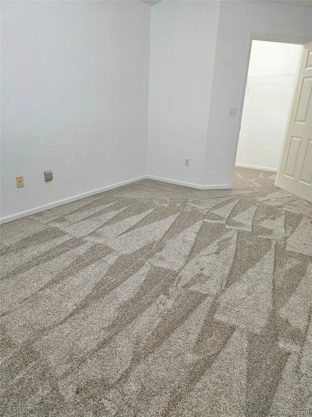 450 Lilly View Court Court Genoa Township, MI 48843