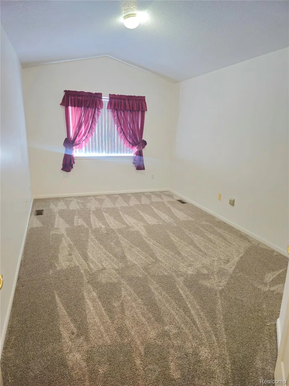 450 Lilly View Court Court Genoa Township, MI 48843