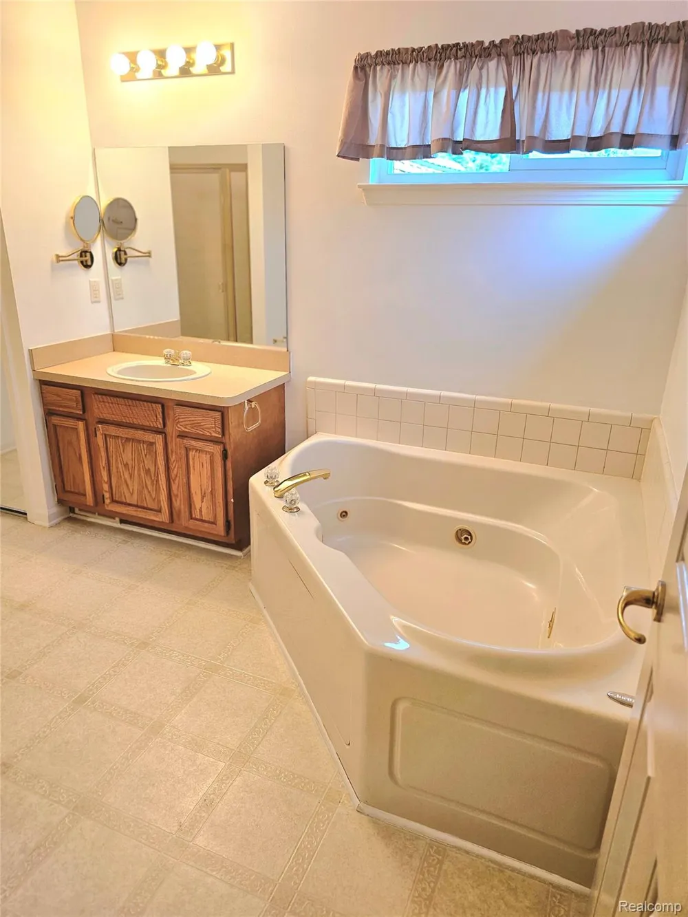 450 Lilly View Court Court Genoa Township, MI 48843