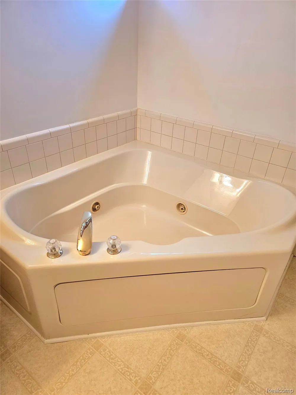450 Lilly View Court Court Genoa Township, MI 48843