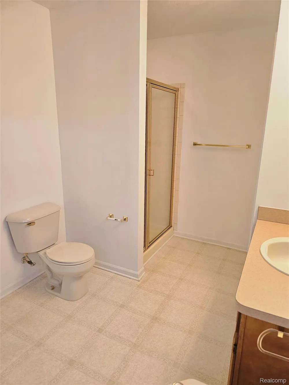 450 Lilly View Court Court Genoa Township, MI 48843