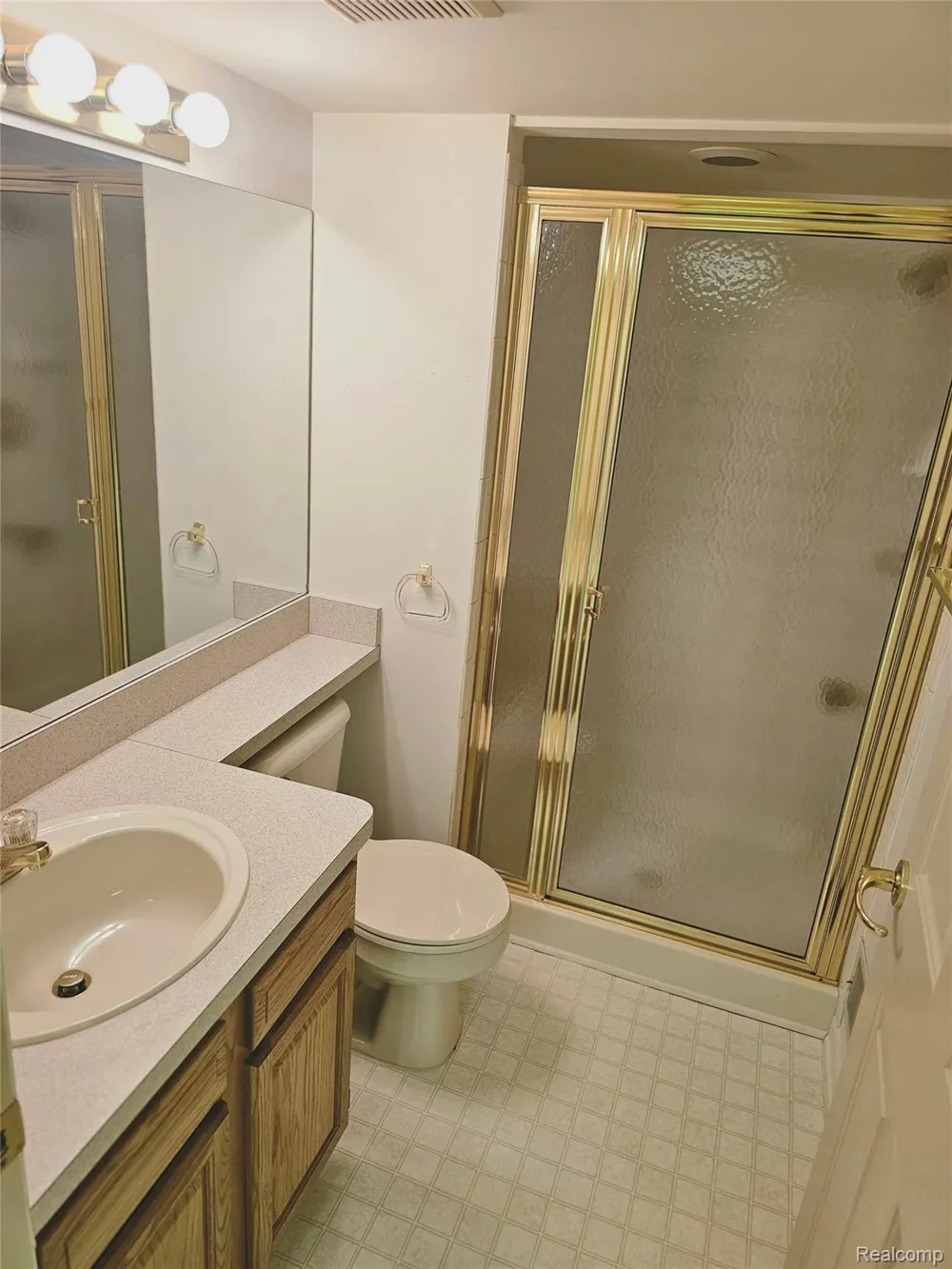 450 Lilly View Court Court Genoa Township, MI 48843