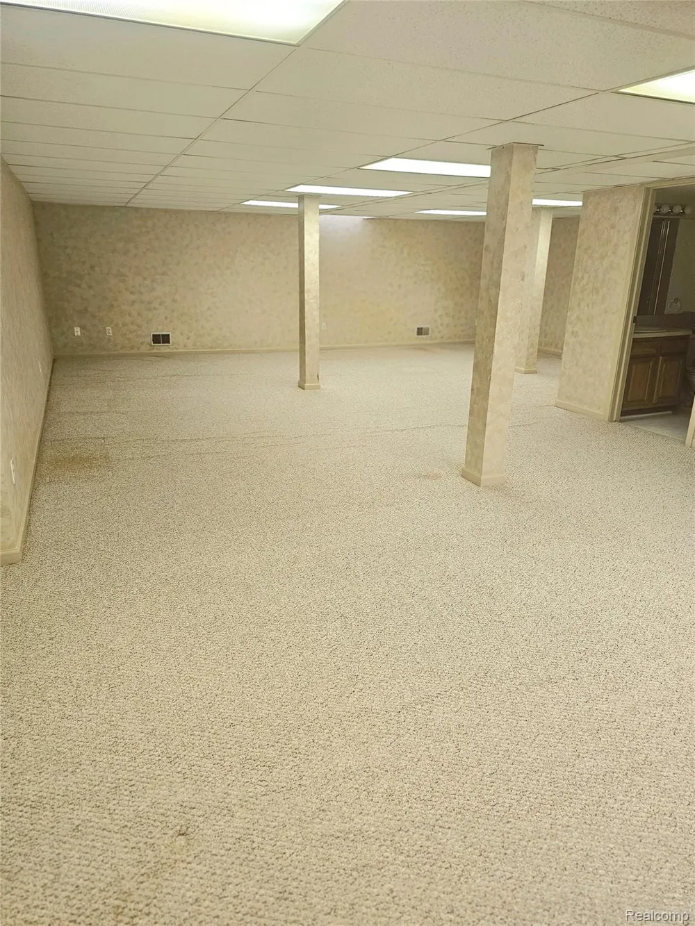 450 Lilly View Court Court Genoa Township, MI 48843