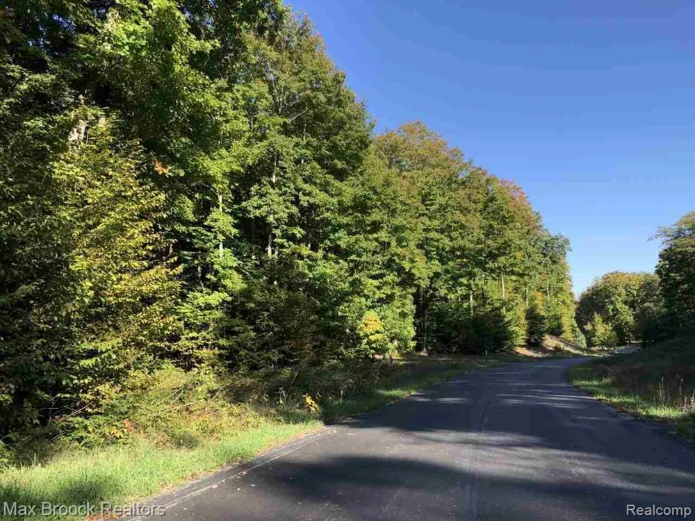Mackinaw Ridge Kasson Township, MI 49630