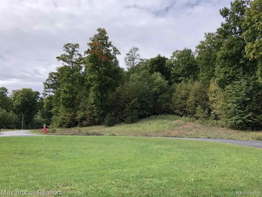 Mackinaw Ridge Kasson Township, MI 49630