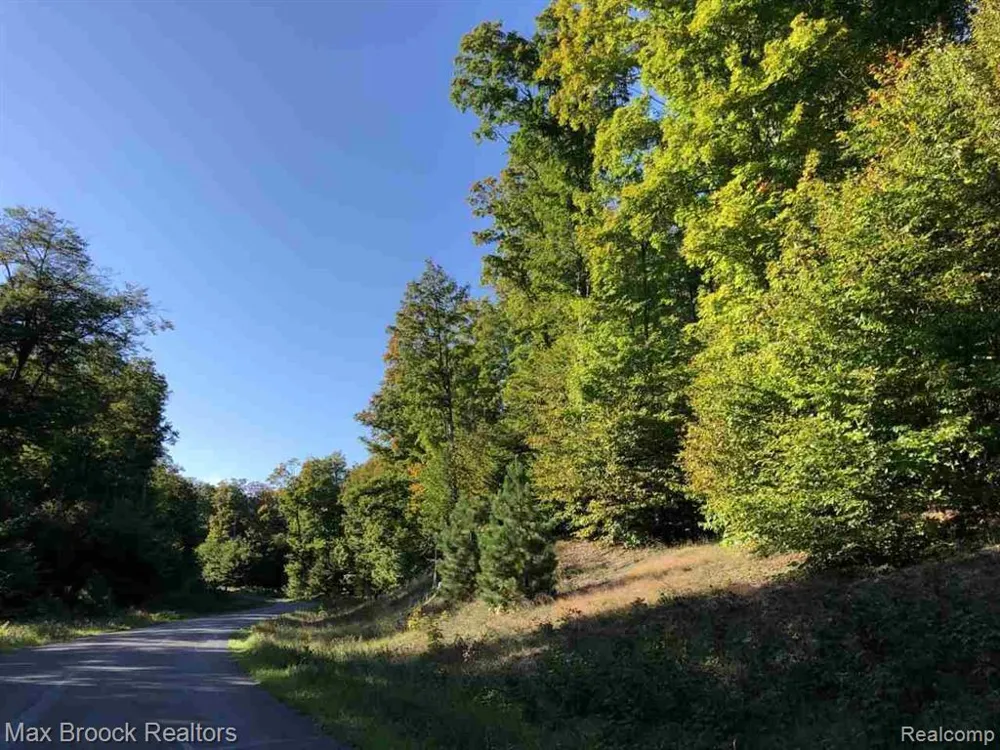 Mackinaw Ridge Kasson Township, MI 49630
