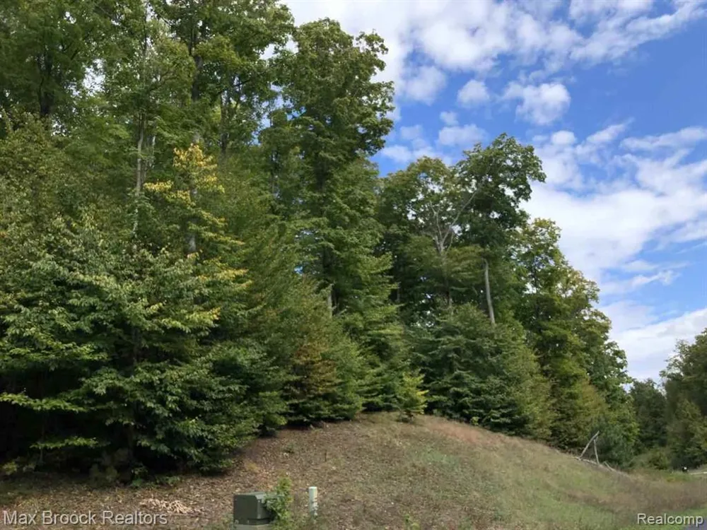 Mackinaw Ridge Kasson Township, MI 49630