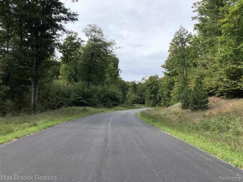 Mackinaw Ridge Kasson Township, MI 49630