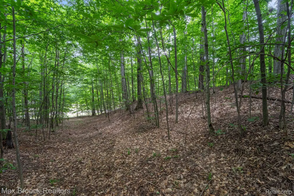 Mackinaw Ridge Kasson Township, MI 49630