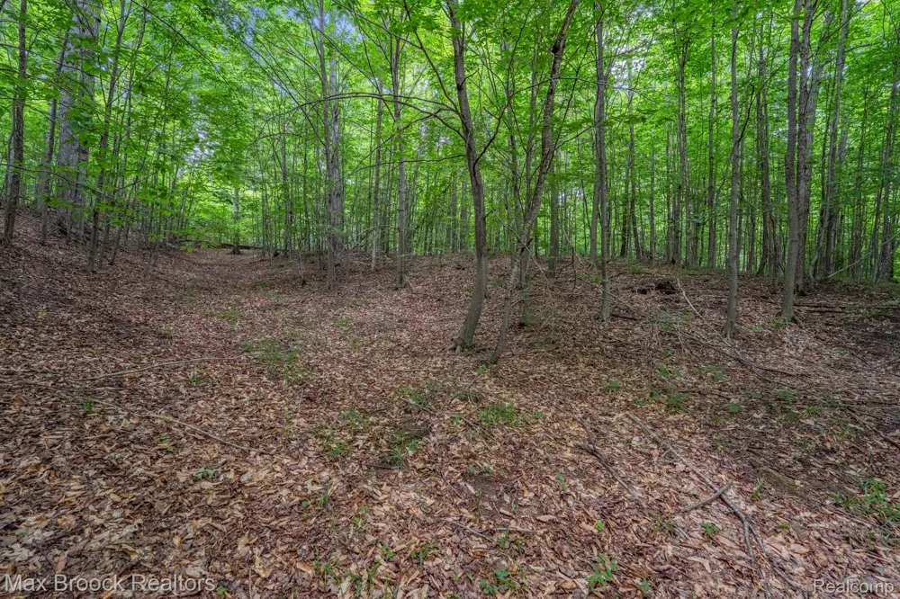 Mackinaw Ridge Kasson Township, MI 49630