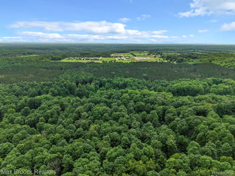 Mackinaw Ridge Kasson Township, MI 49630